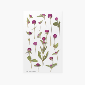 Pressed Flower Sticker - Globe Amaranth