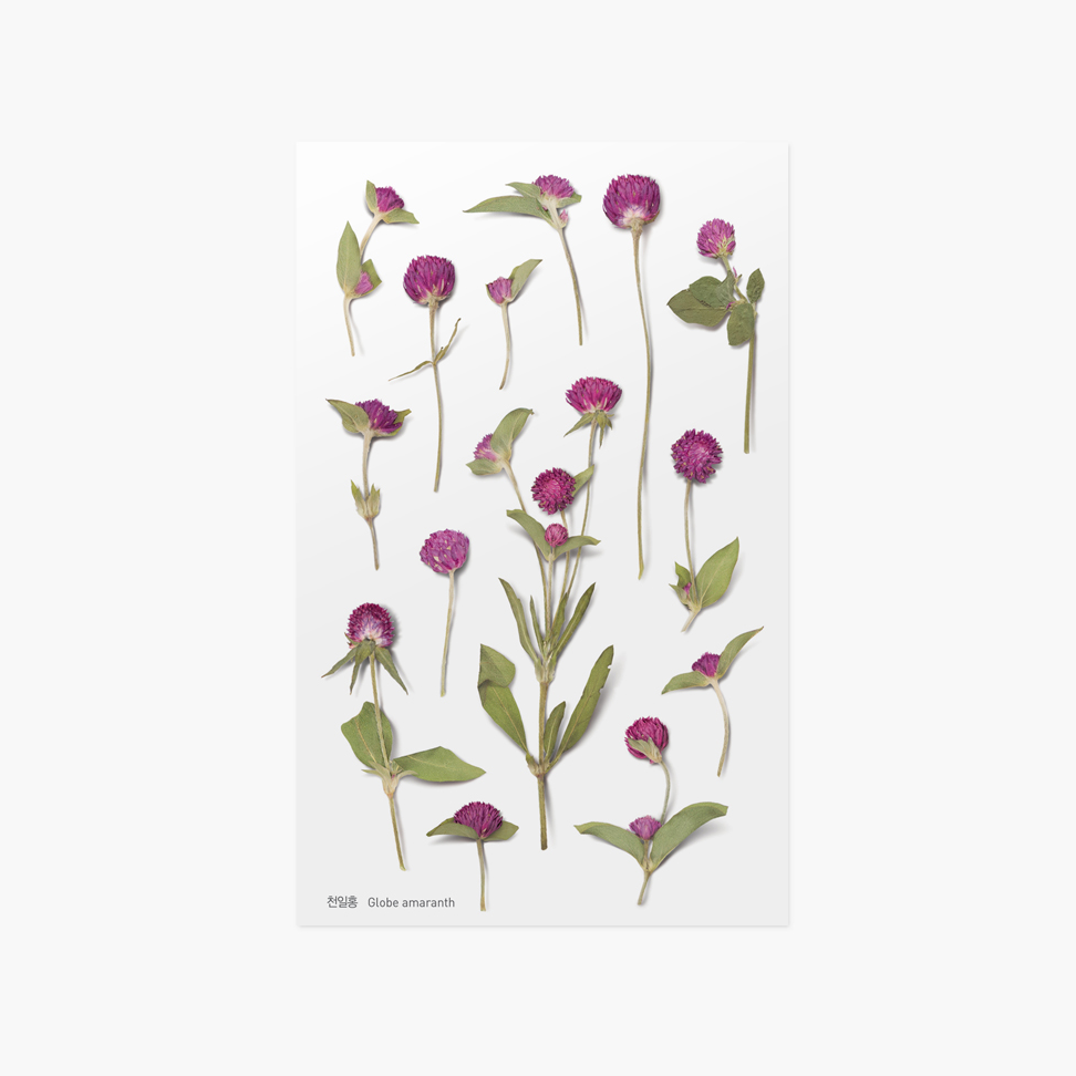 Pressed Flower Sticker - Globe Amaranth