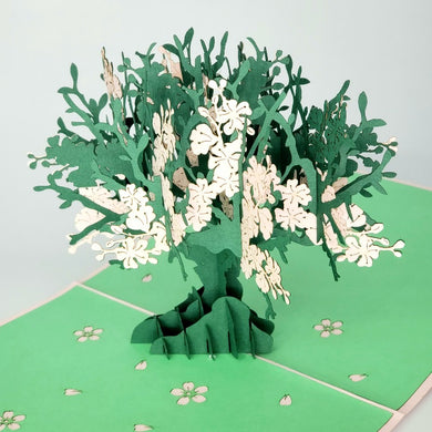 Pink Blossom Tree - Pop Up Card