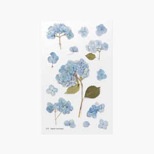 Pressed Flower Sticker - Big Leaf Hydrangea