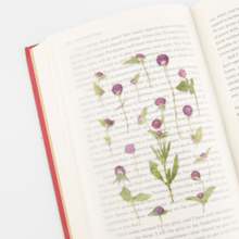 Load image into Gallery viewer, Pressed Flower Sticker - Globe Amaranth