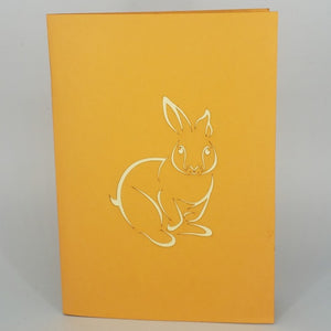 Bunny and Carrot - Pop Up Card