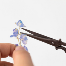 Load image into Gallery viewer, Pressed Flower Sticker - Larkspur