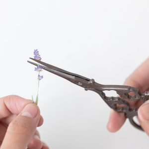 Pressed Flower Sticker - Lavender