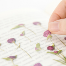 Load image into Gallery viewer, Pressed Flower Sticker - Globe Amaranth