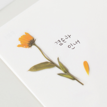 Load image into Gallery viewer, Pressed Flower Sticker - Calendula