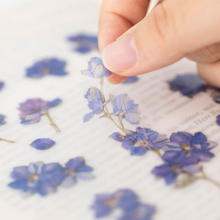 Load image into Gallery viewer, Pressed Flower Sticker - Larkspur