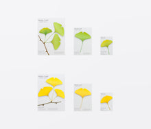 Load image into Gallery viewer, Sticky Leaf - Memo Notes - Ginkgo (Small)